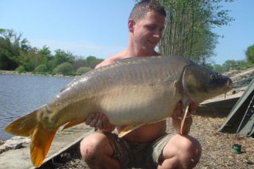 New Fish Stock