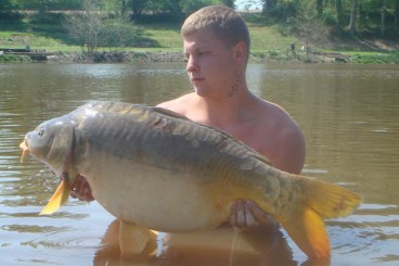 New Fish Stock