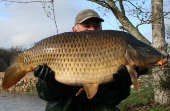 Le Planchon Stock