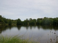 The lake