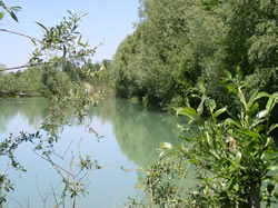 Blue Water Lakes