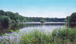 Etang le Fays Etang le Fays