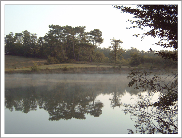 Forest Lake Carp Fishing Forest Lake Carp Fishing