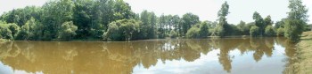 Kingfisher Pool