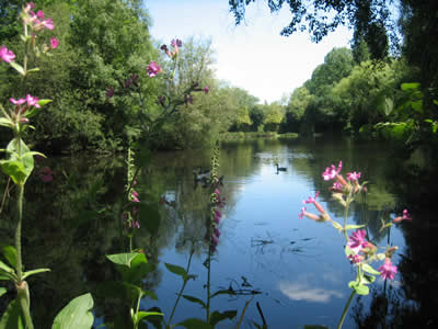 Moulin Le Ponto Moulin Le Ponto