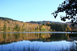 Paradise Lake