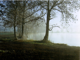 Old Pollard Lake Old Pollard Lake