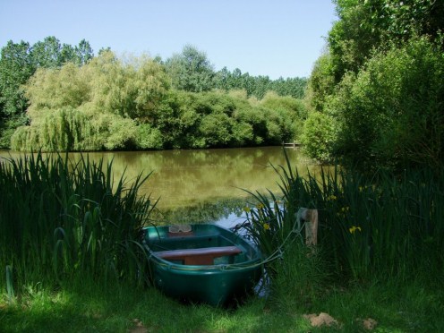 The Lake