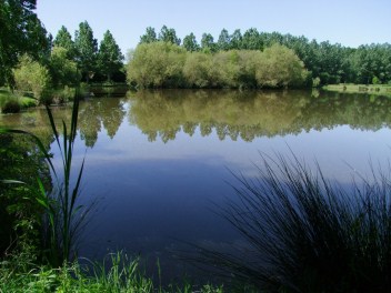 The lake