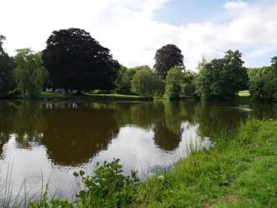 Lake Lamber