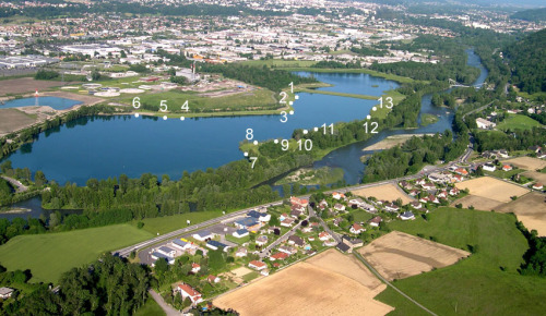 Iktus