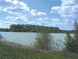 Robins Lake