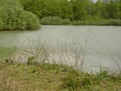 Woods Lake