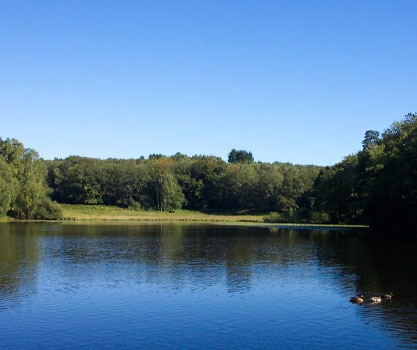 Chestnut Lake