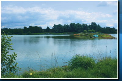 Roseau