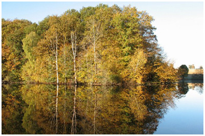 Alder Lake