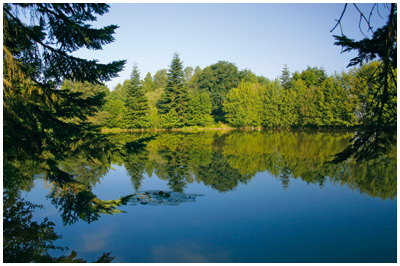 Lac de Beaute