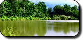 Boysaway Carping