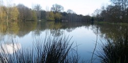 Etang De Campus