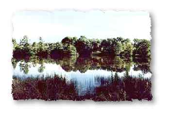 Kingfisher Lake