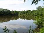 Carp Creuse Angling