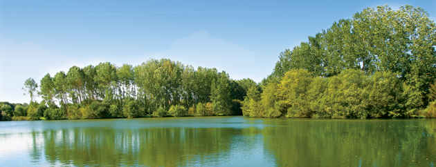 Cas en Lac