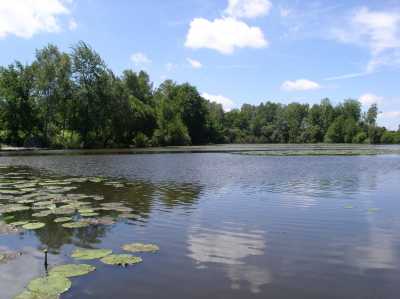 Castaway Lake 1 Castaway Lake 1 - The first of three lakes at La Creuse in France
