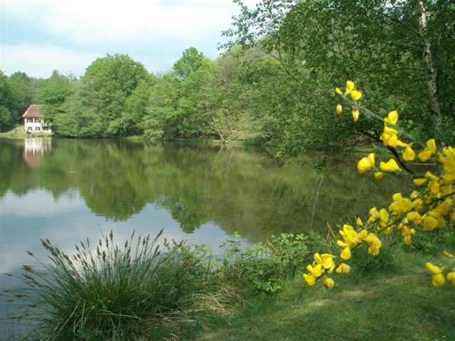 Sweet Chestnut Lake in Perigord-Limousin