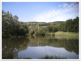 Etang De La Boissonie