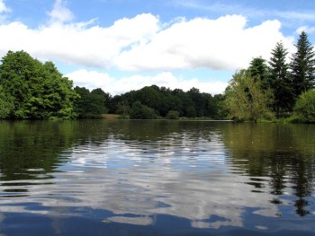 Genesis Carp lake