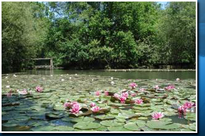 Joy Lake
