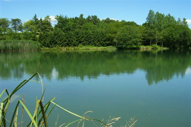 Etang St Pierremont
