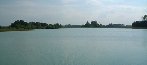 BMP Carp Fisheries