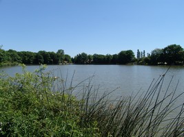 Etang Du Roivre Etang Du Roivre