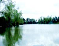 Orchard Lakes