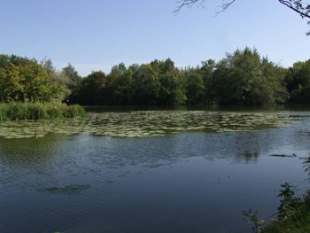 Pads Lake