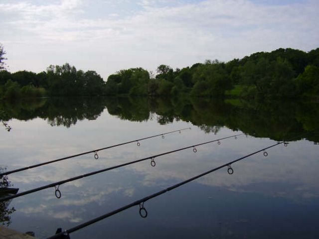 Sanctuary Fishery