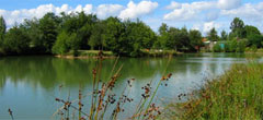 Twin Lakes Caravan Park