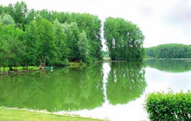 Domaine de la Vallée