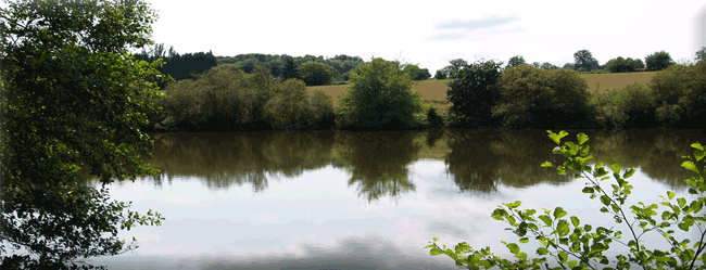 Etang de Vost